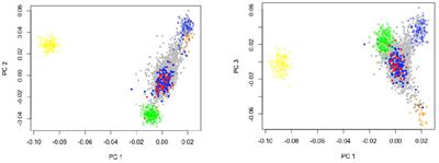 Amerindian ancestry proportion as a risk factor for inflammatory bowel diseases: results from a Latin American Andean cohort